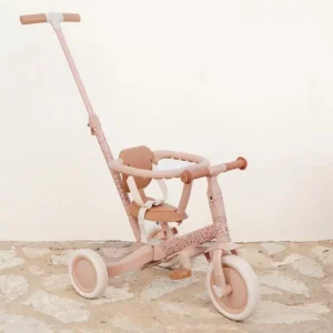 Tricikl 4 u 1 sa ručkom – Fairy Floral
