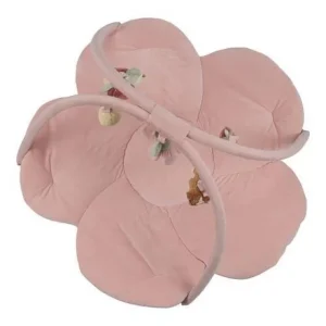 Gimnastika za bebe sa aktivnostima Fairy Garden