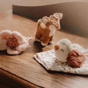 Poklon kutija – Fairy Garden