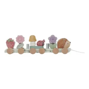 Vozić na povlačenje – Fairy Garden