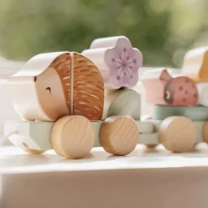 Vozić na povlačenje – Fairy Garden