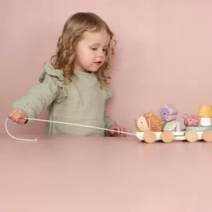 Vozić na povlačenje – Fairy Garden