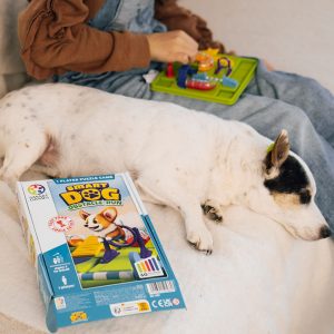 Smart dog 7+